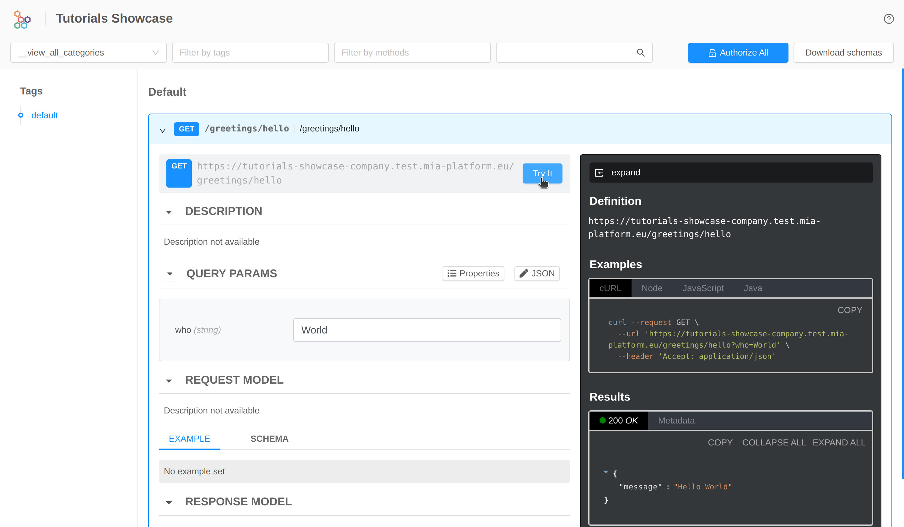 API Portal